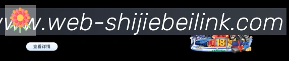 奖项证书